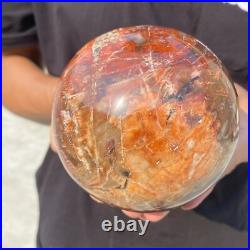 3.8lb Natural Petrified Wood Crystal Ball Fossil Polished Sphere Specimen 3.8lb Natural Petrified Wood Crystal Ball Fossil Polished Sphere Specimen