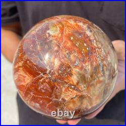 3.8lb Natural Petrified Wood Crystal Ball Fossil Polished Sphere Specimen 3.8lb Natural Petrified Wood Crystal Ball Fossil Polished Sphere Specimen