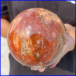 3.8lb Natural Petrified Wood Crystal Ball Fossil Polished Sphere Specimen 3.8lb Natural Petrified Wood Crystal Ball Fossil Polished Sphere Specimen