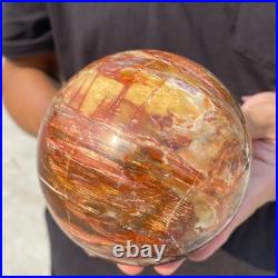 3.8lb Natural Petrified Wood Crystal Ball Fossil Polished Sphere Specimen 3.8lb Natural Petrified Wood Crystal Ball Fossil Polished Sphere Specimen