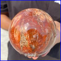 3.8lb Natural Petrified Wood Crystal Ball Fossil Polished Sphere Specimen 3.8lb Natural Petrified Wood Crystal Ball Fossil Polished Sphere Specimen