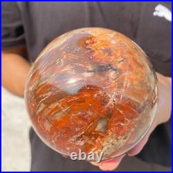 3.8lb Natural Petrified Wood Crystal Ball Fossil Polished Sphere Specimen 3.8lb Natural Petrified Wood Crystal Ball Fossil Polished Sphere Specimen