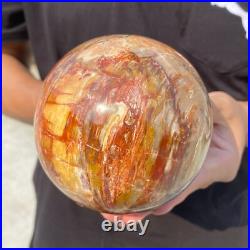 3.8lb Natural Petrified Wood Crystal Ball Fossil Polished Sphere Specimen 3.8lb Natural Petrified Wood Crystal Ball Fossil Polished Sphere Specimen