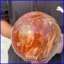 3.8lb Natural Petrified Wood Crystal Ball Fossil Polished Sphere Specimen 3.8lb Natural Petrified Wood Crystal Ball Fossil Polished Sphere Specimen