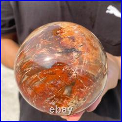 3.8lb Natural Petrified Wood Crystal Ball Fossil Polished Sphere Specimen 3.8lb Natural Petrified Wood Crystal Ball Fossil Polished Sphere Specimen