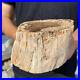 3_8lb_Rare_Natural_petrified_wood_rough_Wood_fossil_mineral_specimen_healing_01_mc