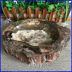 3.9kg Beautiful Polished Petrified Wood Fossil ashtray Madagascar mn995