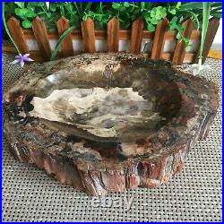 3.9kg Beautiful Polished Petrified Wood Fossil ashtray Madagascar mn995