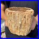 3_9lb_Rare_Natural_petrified_wood_rough_Wood_fossil_mineral_specimen_healing_01_lheu