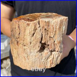 3.9lb Rare Natural petrified wood rough Wood fossil mineral specimen healing 3.9lb Rare Natural petrified wood rough Wood fossil mineral specimen healing