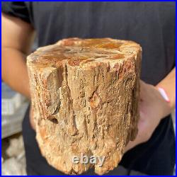 3.9lb Rare Natural petrified wood rough Wood fossil mineral specimen healing 3.9lb Rare Natural petrified wood rough Wood fossil mineral specimen healing