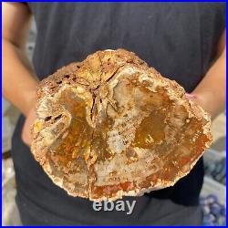 3.9lb Rare Natural petrified wood rough Wood fossil mineral specimen healing 3.9lb Rare Natural petrified wood rough Wood fossil mineral specimen healing