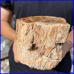 3.9lb Rare Natural petrified wood rough Wood fossil mineral specimen healing 3.9lb Rare Natural petrified wood rough Wood fossil mineral specimen healing