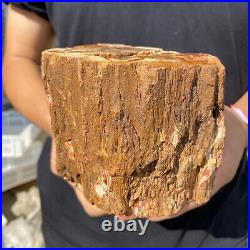 3.9lb Rare Natural petrified wood rough Wood fossil mineral specimen healing 3.9lb Rare Natural petrified wood rough Wood fossil mineral specimen healing