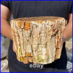 3.9lb Rare Natural petrified wood rough Wood fossil mineral specimen healing 3.9lb Rare Natural petrified wood rough Wood fossil mineral specimen healing