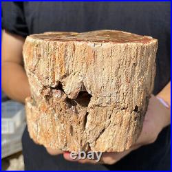 3.9lb Rare Natural petrified wood rough Wood fossil mineral specimen healing 3.9lb Rare Natural petrified wood rough Wood fossil mineral specimen healing