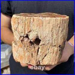 3.9lb Rare Natural petrified wood rough Wood fossil mineral specimen healing 3.9lb Rare Natural petrified wood rough Wood fossil mineral specimen healing