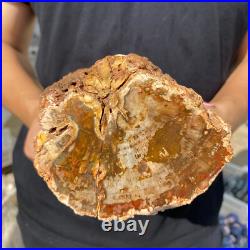 3.9lb Rare Natural petrified wood rough Wood fossil mineral specimen healing 3.9lb Rare Natural petrified wood rough Wood fossil mineral specimen healing