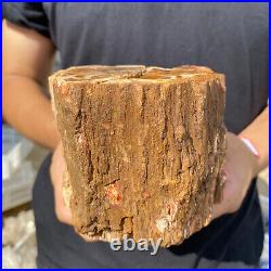 3.9lb Rare Natural petrified wood rough Wood fossil mineral specimen healing 3.9lb Rare Natural petrified wood rough Wood fossil mineral specimen healing
