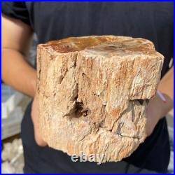 3.9lb Rare Natural petrified wood rough Wood fossil mineral specimen healing 3.9lb Rare Natural petrified wood rough Wood fossil mineral specimen healing
