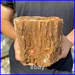 3.9lb Rare Natural petrified wood rough Wood fossil mineral specimen healing 3.9lb Rare Natural petrified wood rough Wood fossil mineral specimen healing
