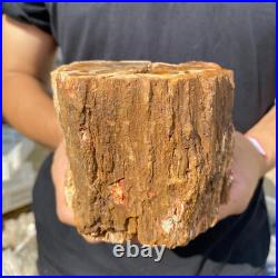 3.9lb Rare Natural petrified wood rough Wood fossil mineral specimen healing 3.9lb Rare Natural petrified wood rough Wood fossil mineral specimen healing