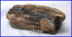 3 Pound 5.3 Oz Northern Nevada Silica Opal Agate Wood Fossil Specimen Cab Rough