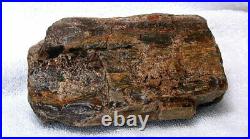 3 Pound 5.3 Oz Northern Nevada Silica Opal Agate Wood Fossil Specimen Cab Rough