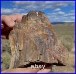 3+lbs Crystal Druzy Agate Opal Petrified Wood Mineral Specimen Incredible Colors