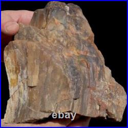 3+lbs Crystal Druzy Agate Opal Petrified Wood Mineral Specimen Incredible Colors