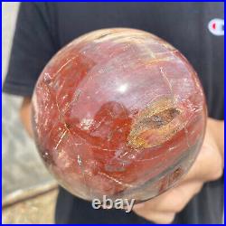 3lb Natural Petrified Wood fossil Quartz sphere Crystal Ball specimen Healing