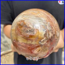 3lb Natural Petrified Wood fossil Quartz sphere Crystal Ball specimen Healing