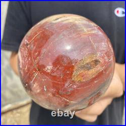 3lb Natural Petrified Wood fossil Quartz sphere Crystal Ball specimen Healing