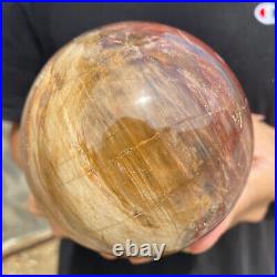 3lb Natural Petrified Wood fossil Quartz sphere Crystal Ball specimen Healing