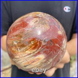 3lb Natural Petrified Wood fossil Quartz sphere Crystal Ball specimen Healing