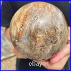 3lb Natural Petrified Wood fossil Quartz sphere Crystal Ball specimen Healing