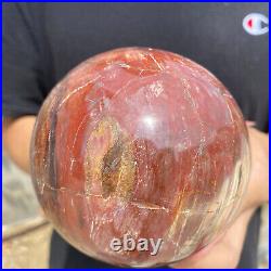 3lb Natural Petrified Wood fossil Quartz sphere Crystal Ball specimen Healing