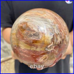 3lb Natural Petrified Wood fossil Quartz sphere Crystal Ball specimen Healing