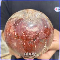 3lb Natural Petrified Wood fossil Quartz sphere Crystal Ball specimen Healing