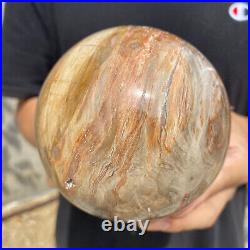 3lb Natural Petrified Wood fossil Quartz sphere Crystal Ball specimen Healing