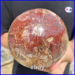 3lb Natural Petrified Wood fossil Quartz sphere Crystal Ball specimen Healing