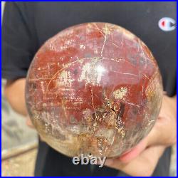 3lb Natural Petrified Wood fossil Quartz sphere Crystal Ball specimen Healing