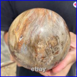 3lb Natural Petrified Wood fossil Quartz sphere Crystal Ball specimen Healing