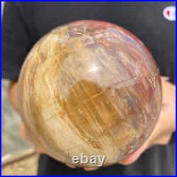 3lb Natural Petrified Wood fossil Quartz sphere Crystal Ball specimen Healing