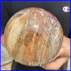 3lb Natural Petrified Wood fossil Quartz sphere Crystal Ball specimen Healing