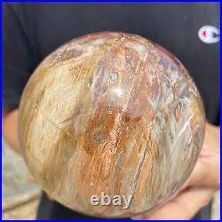 3lb Natural Petrified Wood fossil Quartz sphere Crystal Ball specimen Healing