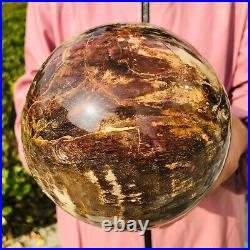 4000g Natural Petrified Wood Crystal Ball Fossil Polished Sphere Specimen 522
