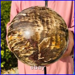 4000g Natural Petrified Wood Crystal Ball Fossil Polished Sphere Specimen 522