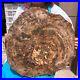 40_48LB_Large_Natural_Petrified_Wood_Crystal_Fossil_Slice_Shape_Specimen_Healing_01_jts