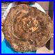 40_48LB_Natural_Petrified_Wood_Fossil_Crystal_Polished_Slice_Madagascar_1986_01_skz
